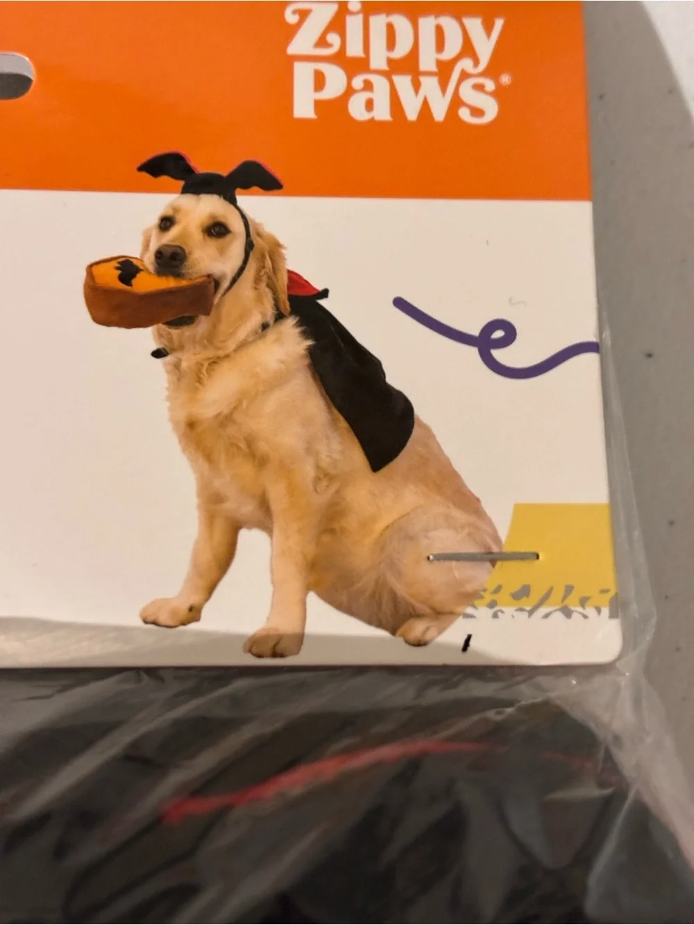 Dracula dog costume